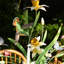 Meadow Walk 25" Bouquet Centerpiece Candelabra - Multi