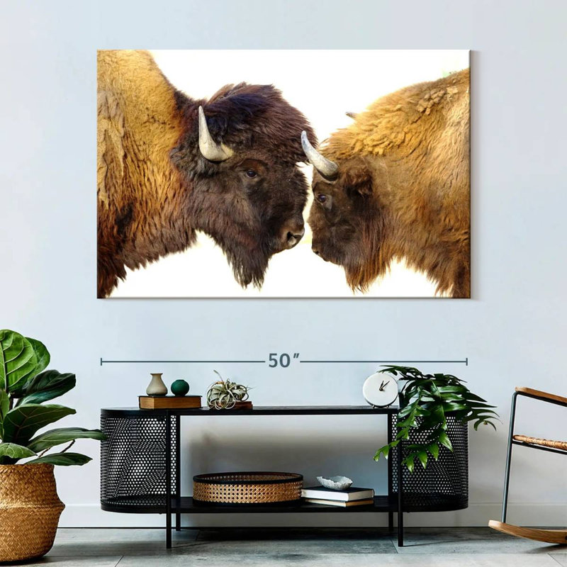 Brampt Bisons I, 34" H x 51" W