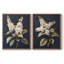 Série FLORAL CLVI - reproduction encadrée de qualité supérieure - prête à être accrochée - aucun clou requis - aucun clou requis-107998884-107998885