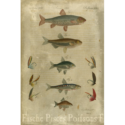 Poissons, composition I