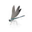 Awesome Insects Dragonfly Figurine