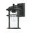 Schlesinger Seeded Glass Outdoor Wall Light-684222841