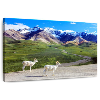 R meuble de berger à Denali