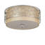 Deserto Seco 12 - Light Flush Mount