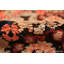 Tapis oriental Agra