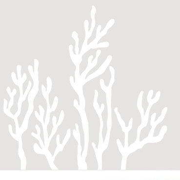 Décalcomanie murale corail, Blanc