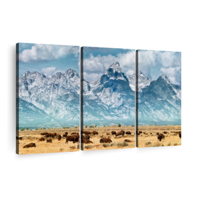 Bison Herd In Grand Teton, reproduction d'art sur toile