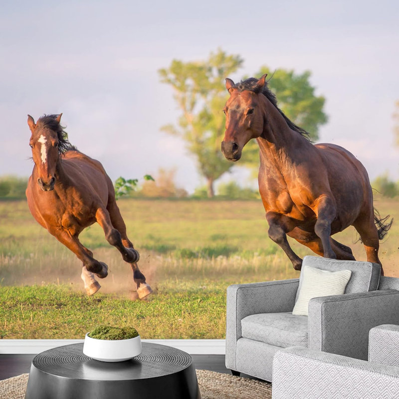Country Mustang Stallion Horses Animals Nature Photography Decorative Landscape Scenery, 66" L x 96" W