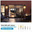 Plug-in Flush Mounted Sconce