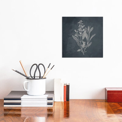 Plant I by Kimberly Allen - Wrapped Canvas Print