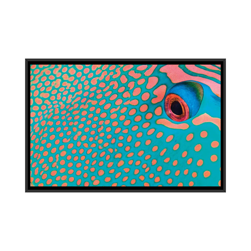 " Extreme Close-Up Of The Pattern On A Bicolor Parrotfish, Indonesia " by VWPics, 18" H x 26" W x 1.5" D, Black Framed Canvas