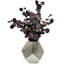 Pot Khadijia-977113642