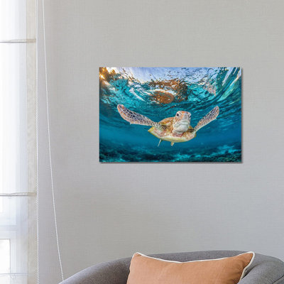 Fly With Me by Jordan Robins - Wrapped Canvas Print