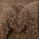 Rodolphe Performance Indoor Rug