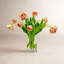 DOUBLE TULIP WITH LEAVES IN CYLINDER