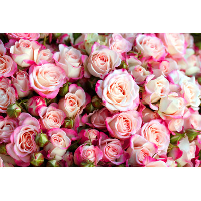 Roses - Wrapped Canvas Print