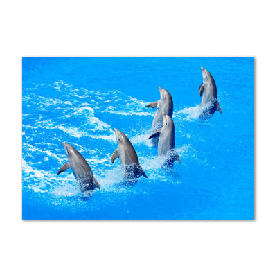 Dolphins - Wrapped Canvas Print