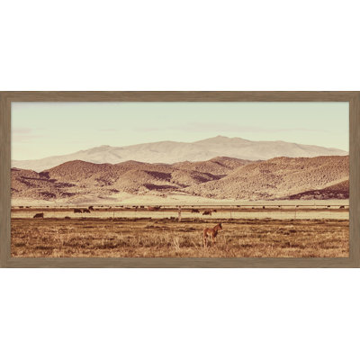 Turner Ranch 2 Print by Nathan Turner