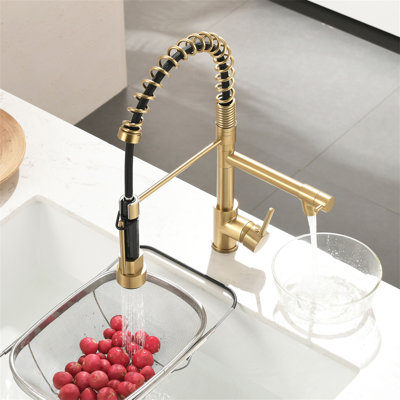 Robinet de cuisine avec douchette rétractable, robinet d'évier de cuisine à poignée simple