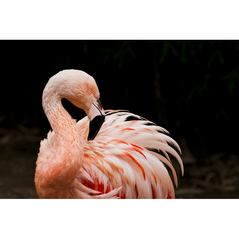Flamant rose par Legna69, H 8 po x l 12 po