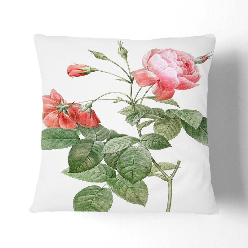 Boursault Rose In Pink Floral Square Throw Cushion, 55cm H x 55cm W x 20cm D, Black