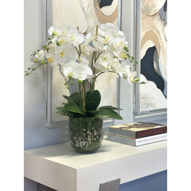 Phalaenopsis Floral Arrangement