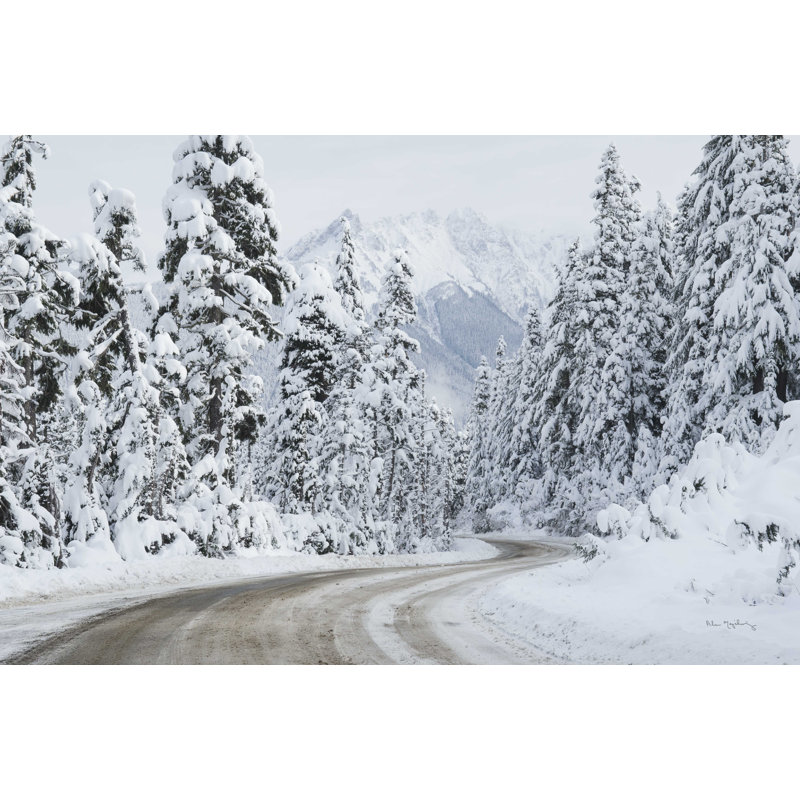 Route du mont Baker I, H 20 po x l 30 po
