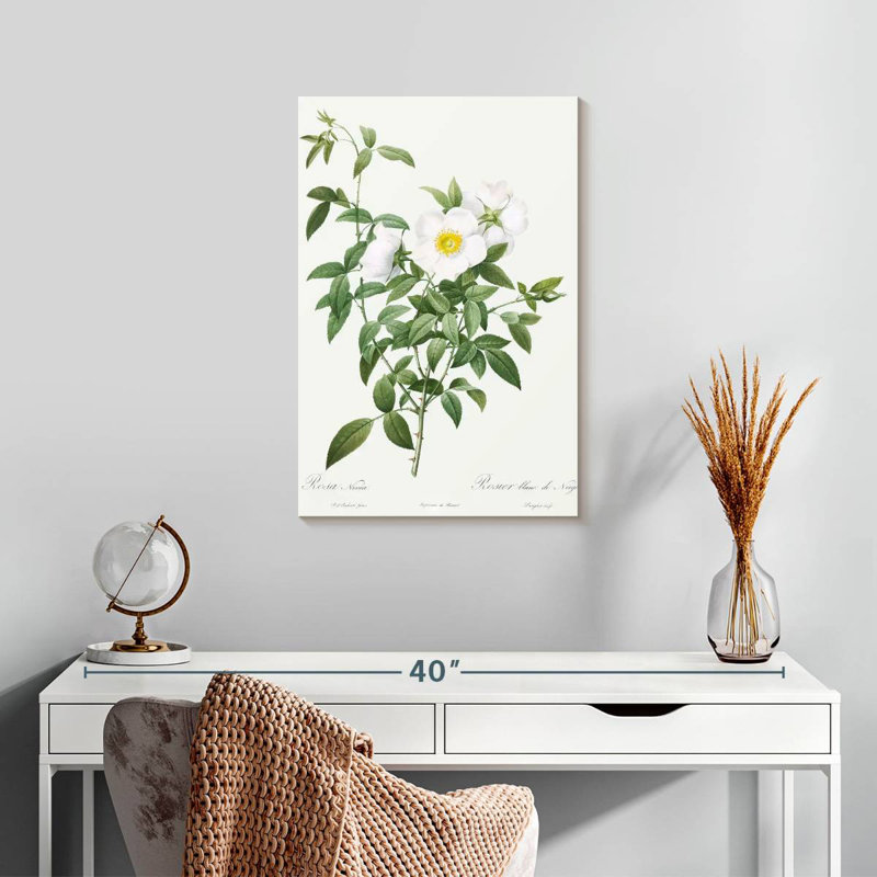 Harnek Rosa Nivea, 24" H x 16" W