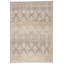 Tapis oriental gris Lynnette-236793905