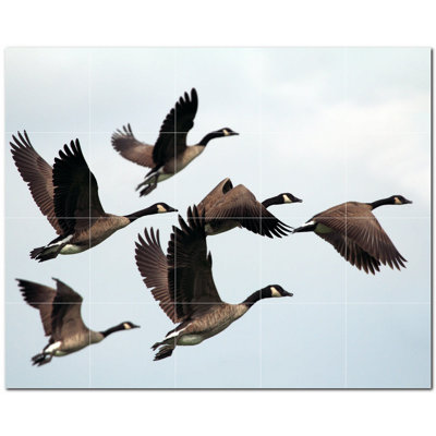 Bird Photo 12'' x 12'' Satin Ceramic Decorative Mural -  Picture-Tiles.com, PT500148-54XL