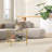 2 Tempered Glass End Table, 26" Round With Storage, Gold Living Decor Area Side Frame