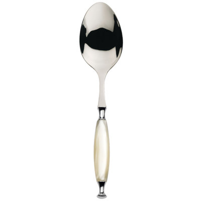 Stainless Steel Serving Spoon