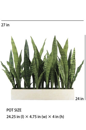 27" Potted Snake Plant - Natural, Natural