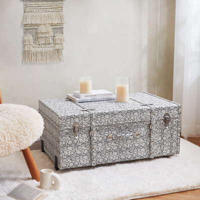Texture Brand Trunk - Silver Snakeskin