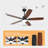  52" Remote Control Ceiling Fan With Light – 6-speed Quiet Dc Motor, Dimmable 3-color Led, Flush Mount For Bedroom, Living Room, Dining Room,black-1253611411-1253611410