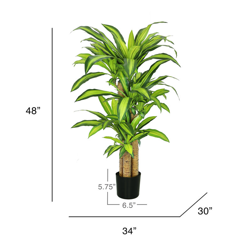 Arbre Dracaena artificiel Kilgore en pot