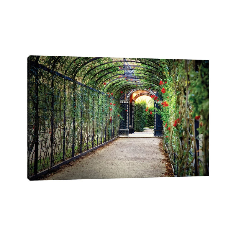Rose Trellis In Schonbrunn Palace by George Oze - No Frame Gallery-Wrapped Canvas Giclée on Canvas, 30.48cm H x 45.72cm W