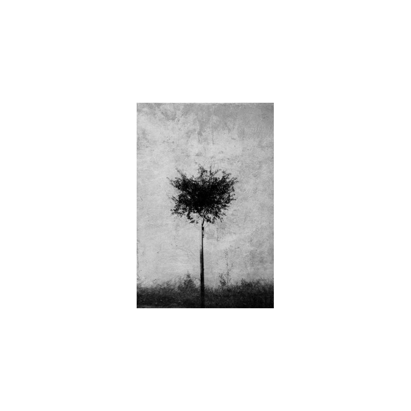 Wrapped Canvas Print, 76.2 cm H x 50.8 cm W
