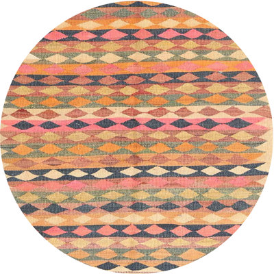 Southwestern Indoor Rug