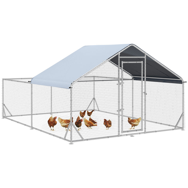 129m² Walk In Chicken Run
