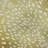 Premium Machine Washable Merilou AMF44 Gilded Rug-1616062197
