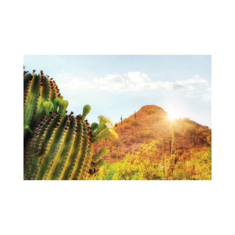 Arizona Desert Scene With Mountain And Cactus by Susan Richey - Gallery-Wrapped Canvas Giclée on Canvas, Canvas