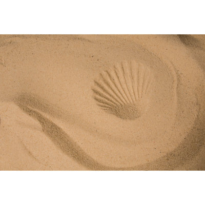 Shell Impression - Wrapped Canvas Print