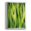 Of Grass I-88443040-88443041