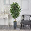 Ficus artificiel 60 po en pot