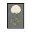 «Dramatic Ivory Mums I» par Vision Studio - impression sur toile tendue-29052176-72798491-72798492