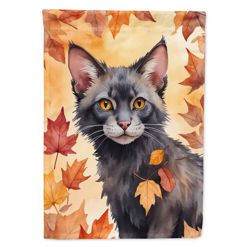 Chat en feuilles d'automne, Lykoi