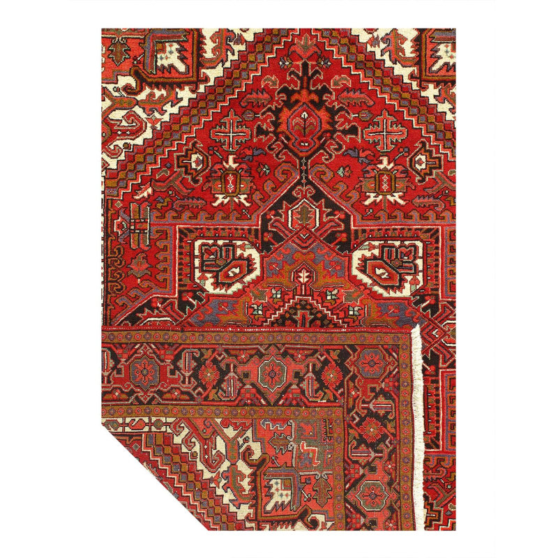 Oriental Area Rug