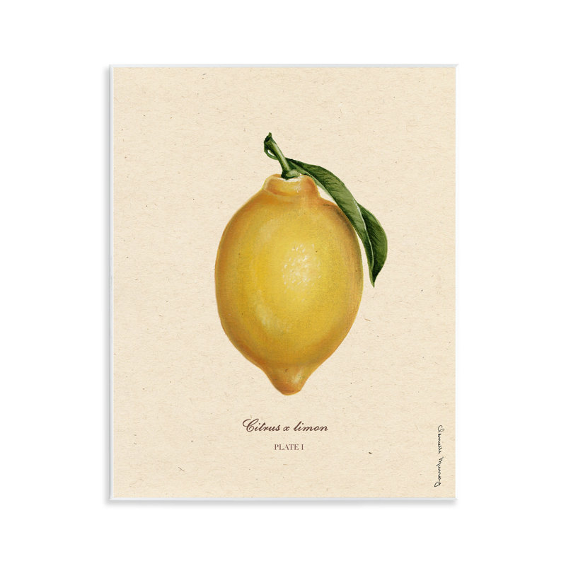 Lemon Fruit Portrait Wall Plaque, design by Danielle Murray
