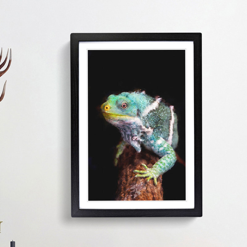 Fiji Iguana - Picture Frame Painting Print, Black Framed, 63cm H x 45cm W x 2cm D